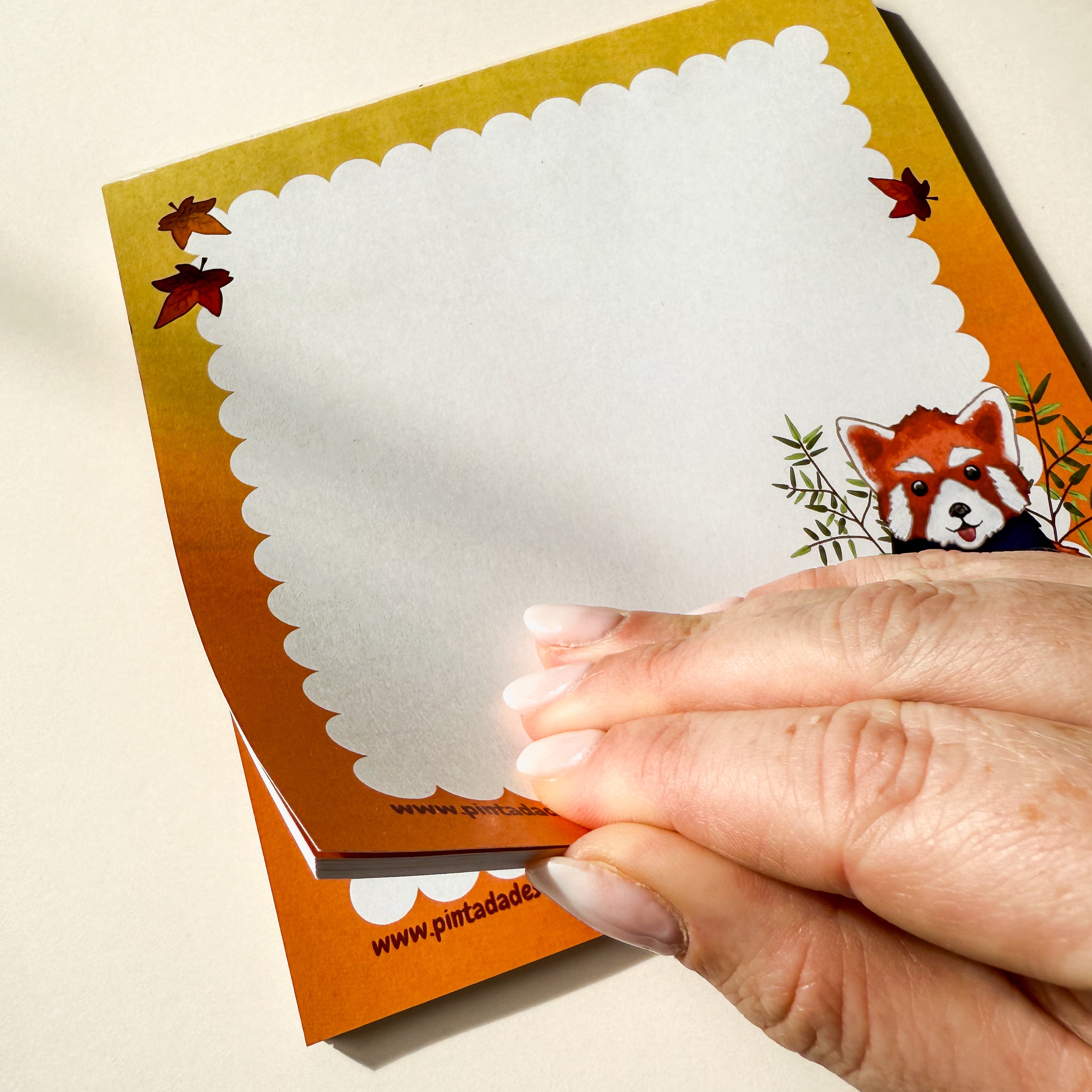 Reggie Red Panda Square Notepad