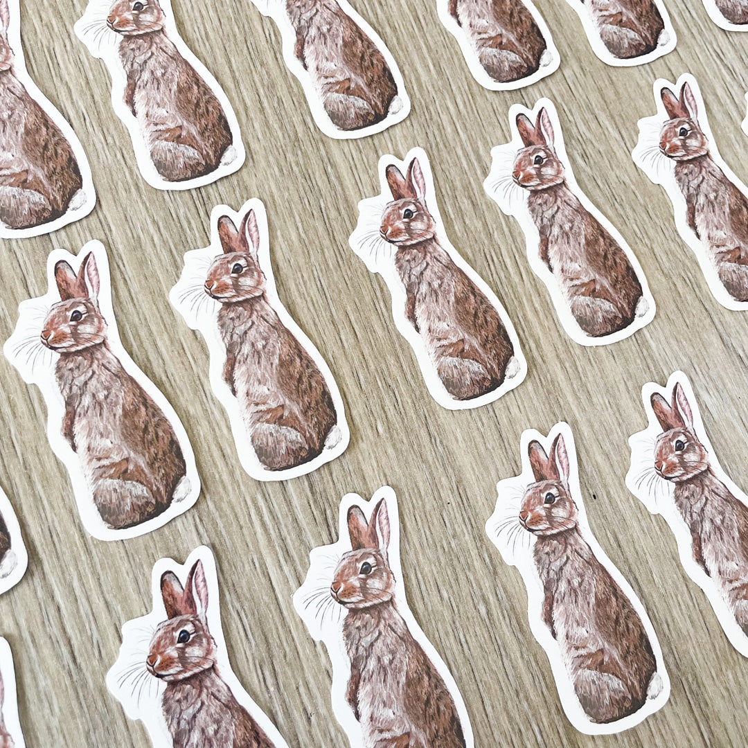 Rabbit Vinyl Sticker
