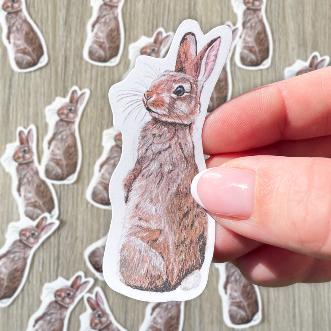 Rabbit Vinyl Sticker