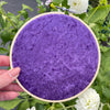 Amethyst Velvet Fabric Pin hoop