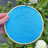 Turquoise Velvet Fabric Pin hoop