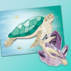 Gems of the Sea Turtle Postcard Set